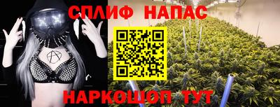 гидропоника Рязань
