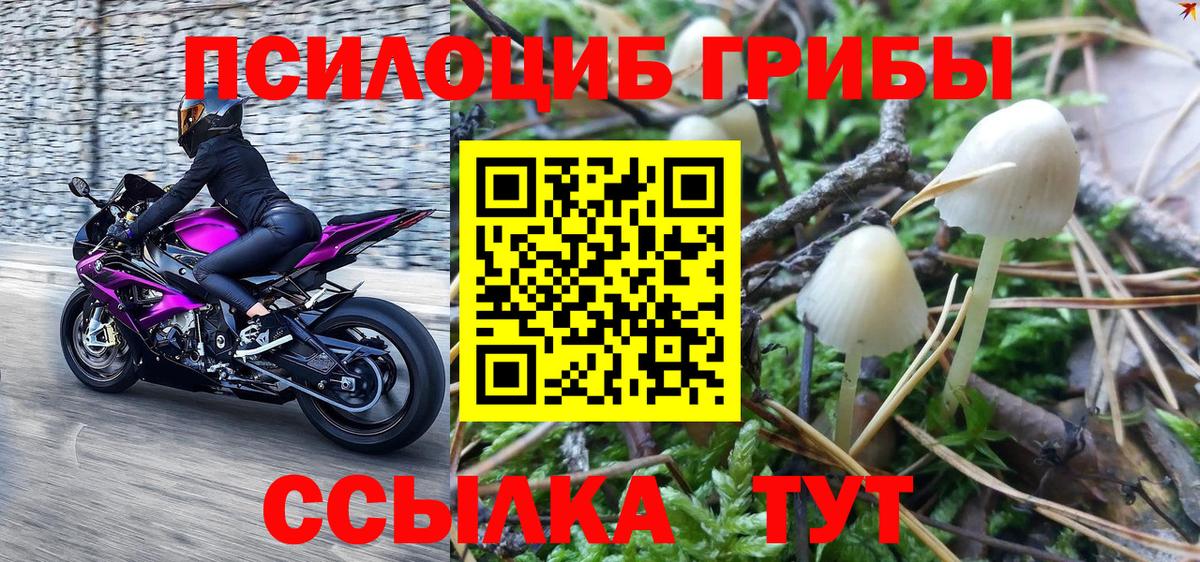 Галлюциногенные грибы мухоморы Бахчисарай